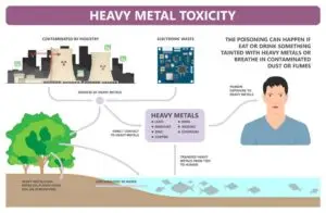 Heavy Metal Toxins Image